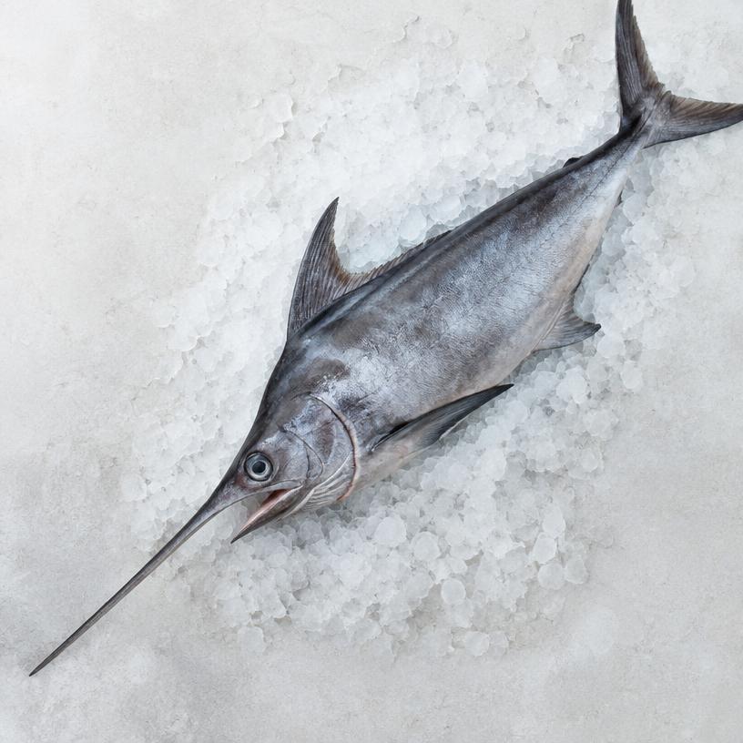 Fresh Swordfish
